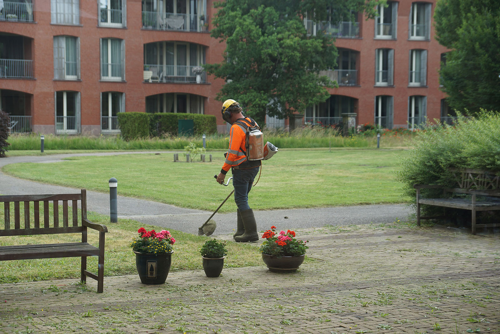 Aanplant en onderhoud Alverna