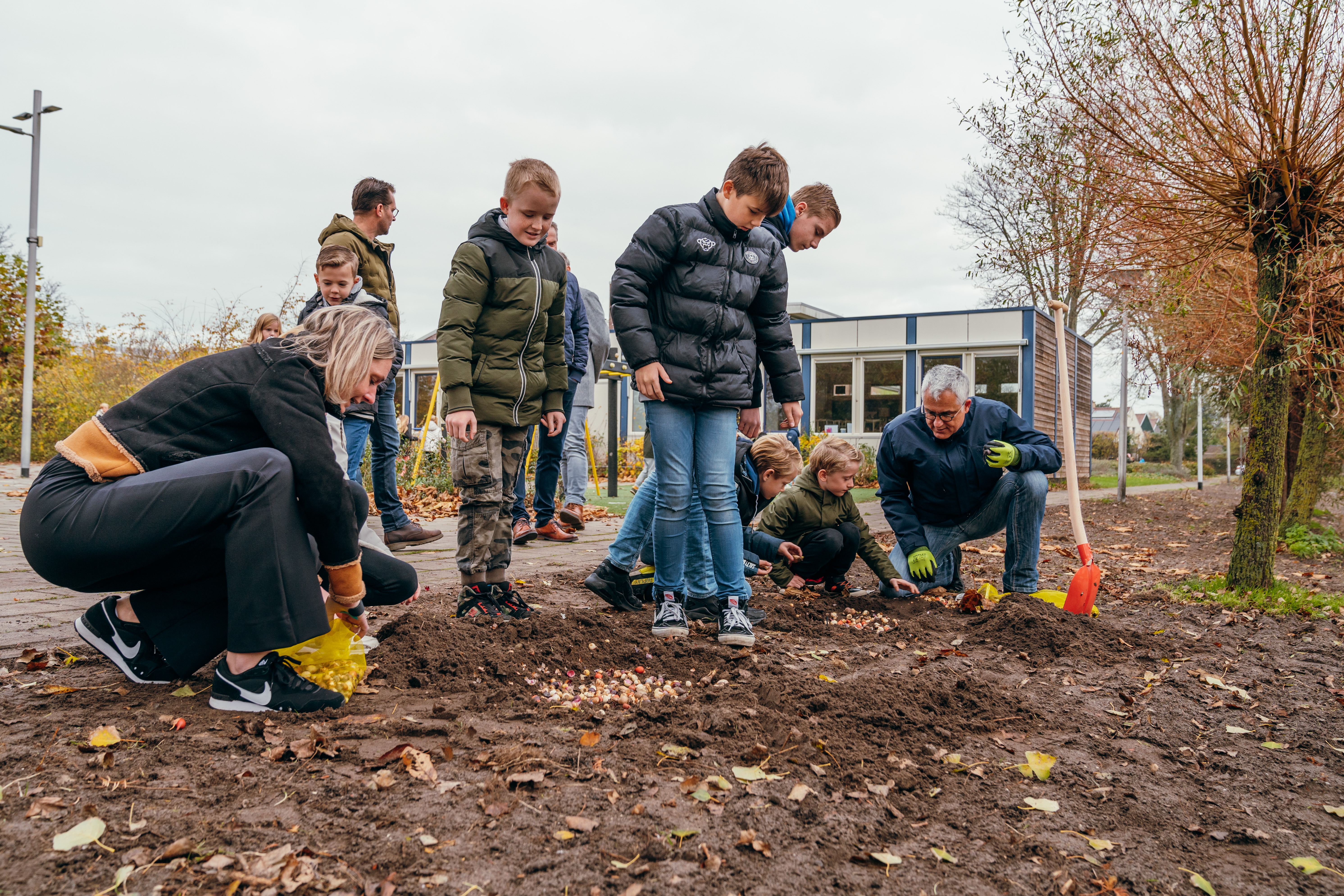 Bloembollen planten